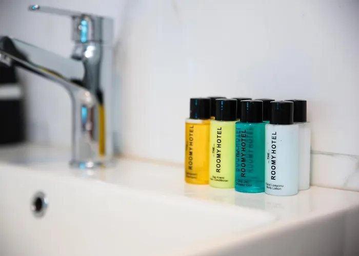 Hotel The Roomy Nisantasi Istambul