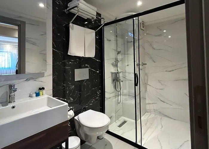 Hotel The Roomy Nisantasi 3*